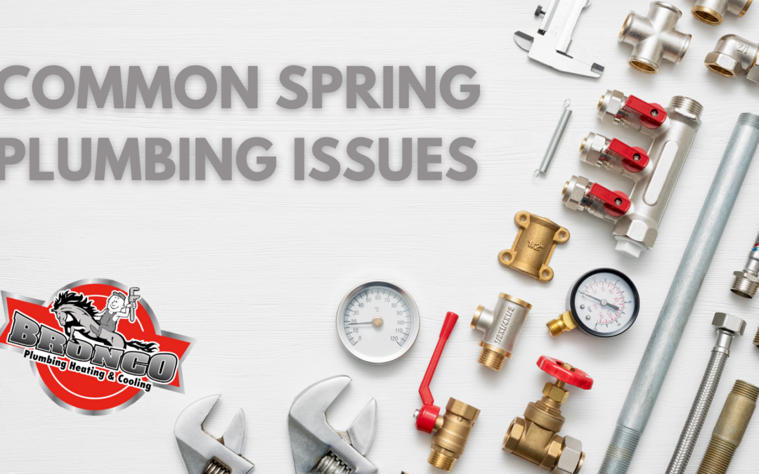 Common Spring Plumbing Issues